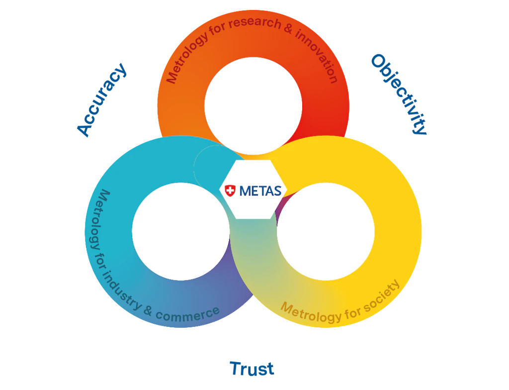 Graphic of the METAS Values